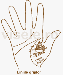 Liniile grijilor